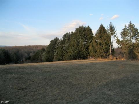 38 Plotts Rd, Newton, NJ 07860 photo 3