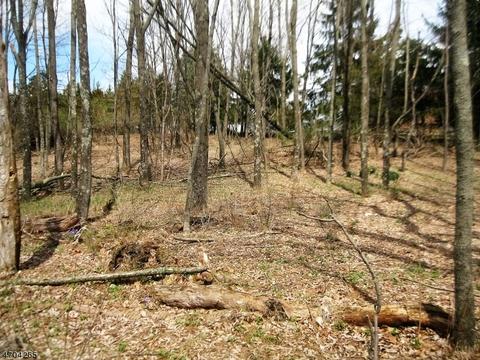 36 Plotts Rd, Newton, NJ 07860 photo 1