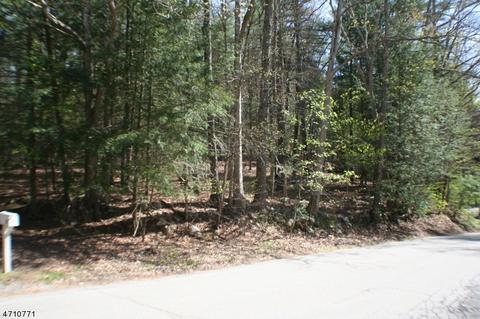 55 Flatbrook Rd, Sandyston Twp., NJ 07826 photo 1