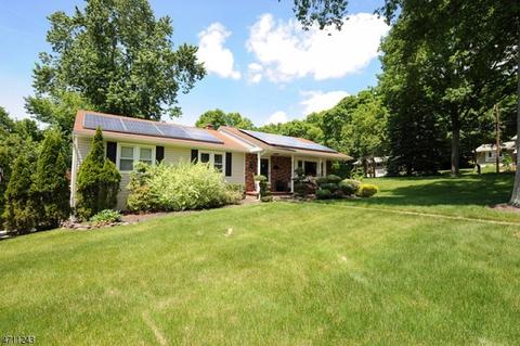 3 Evers Ct, Wayne, NJ 07470 photo 1