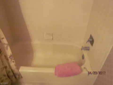 44 Tansy Ct, Bedminster, NJ 07921 photo 4