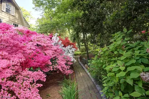 140 Beekman Rd, Summit, NJ 07901 photo 20
