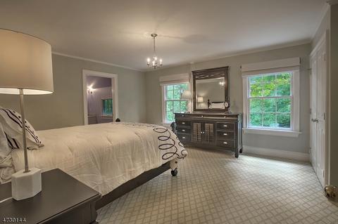 214 Talmage Rd, Mendham, NJ 07945 photo 16