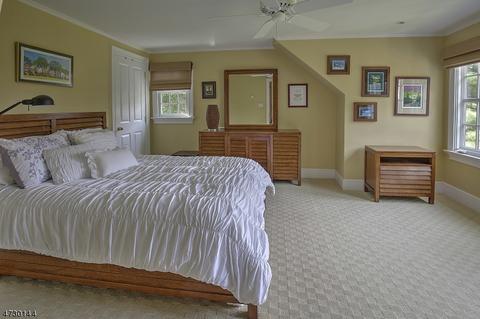 214 Talmage Rd, Mendham, NJ 07945 photo 20