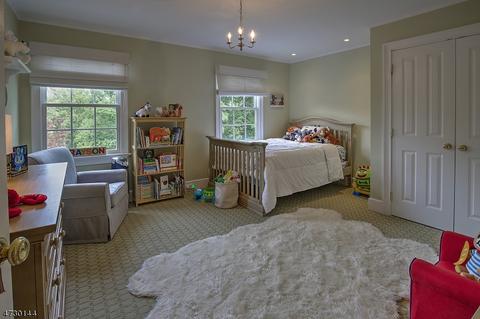 214 Talmage Rd, Mendham, NJ 07945 photo 18