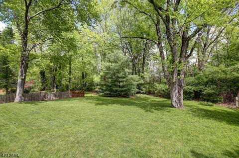 137 Passaic Ave, Summit, NJ 07901 photo 19