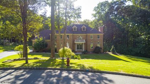 29 Shadowbrook Way, Mendham, NJ 07945 photo 1