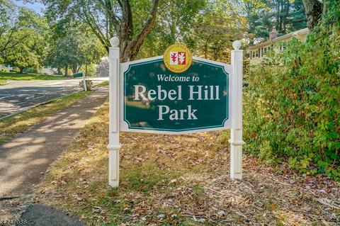 61 Fairview Dr E, Basking Ridge, NJ 07920 photo 24