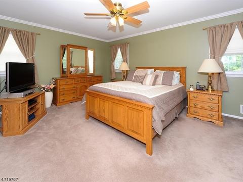 19 Teak Rd, Wayne, NJ 07470 photo 10