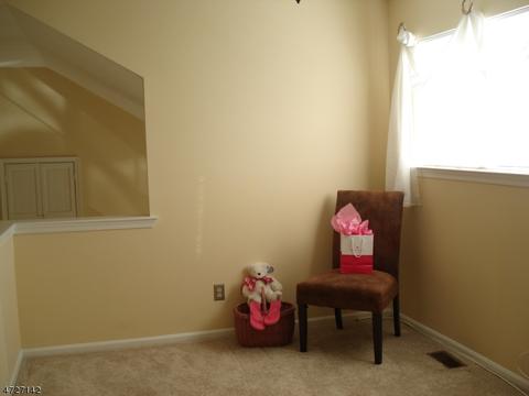 10 Pendleton Ct, Bedminster, NJ 07921 photo 13