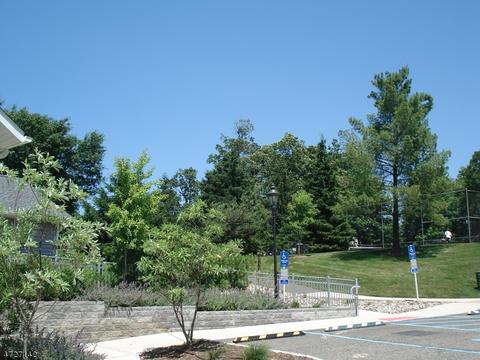 10 Pendleton Ct, Bedminster, NJ 07921 photo 25