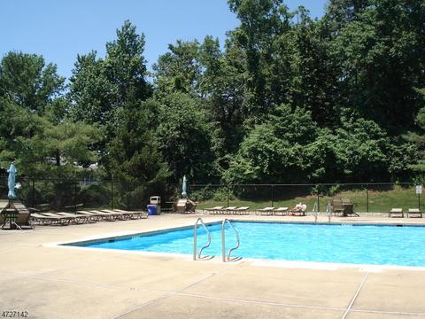 10 Pendleton Ct, Bedminster, NJ 07921 photo 22