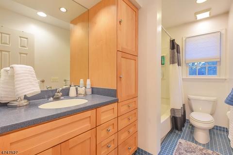 5 Allen Way, Randolph, NJ 07869 photo 15