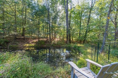 7 Townsend Rd, Mendham, NJ 07945 photo 14