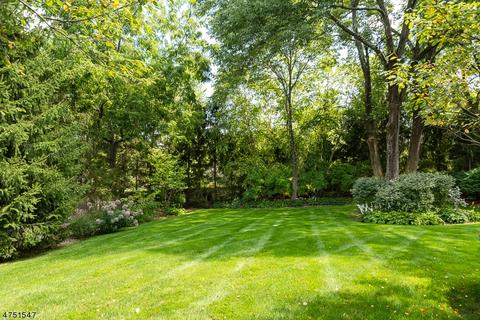 3 Windymere Ln, Mendham, NJ 07945 photo 20