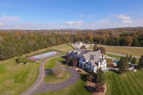 430 Cedar Ridge Rd, Bedminster, NJ 07921 photo 3