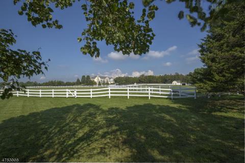 430 Cedar Ridge Rd, Bedminster, NJ 07921 photo 24