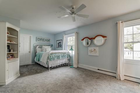 30 Fox Grape Rd, Flemington, NJ 08822 photo 13