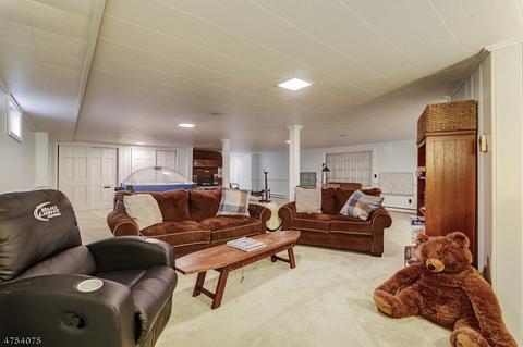 30 Fox Grape Rd, Flemington, NJ 08822 photo 17