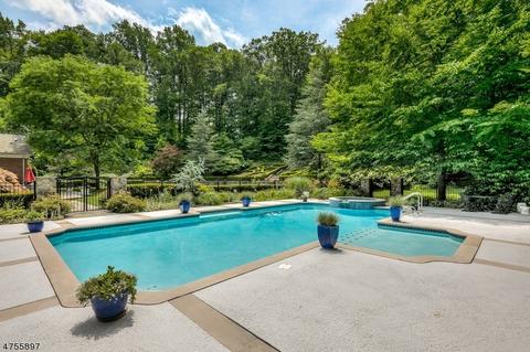 5 Cobblefield Dr, Mendham, NJ 07945 photo 19