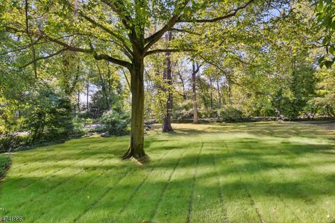 66 Prospect St, Summit, NJ 07901 photo 24