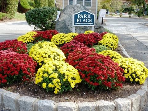 507 Park Pl, Springfield, NJ 07081 photo 16