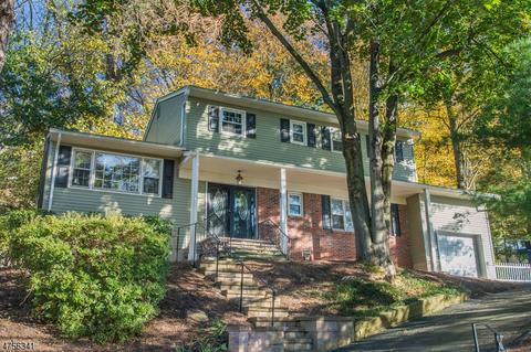 24 Joyce Dr, Roxbury Twp., NJ 07876 photo 1
