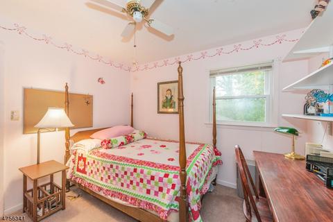 24 Joyce Dr, Roxbury Twp., NJ 07876 photo 14