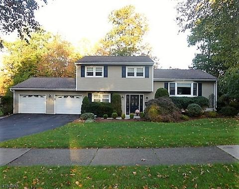 95 Webster Dr, Wayne, NJ 07470 photo 1