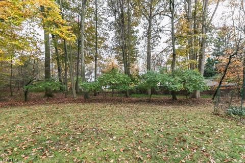 28 Beech Ave, Berkeley Heights, NJ 07922 photo 19