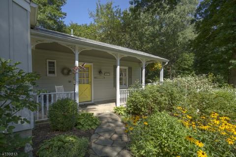 46 E Craig St, Bernards, NJ 07920 photo 20