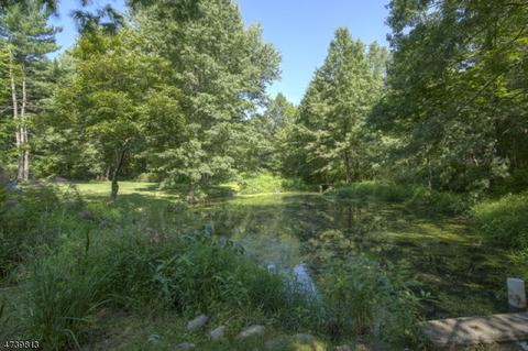 46 E Craig St, Bernards, NJ 07920 photo 23