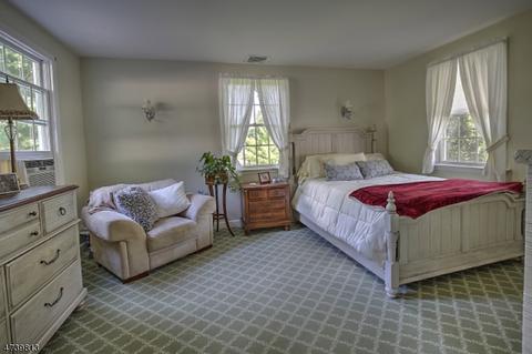46 E Craig St, Bernards, NJ 07920 photo 14