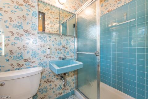 16 King Ct, Wayne, NJ 07470 photo 15