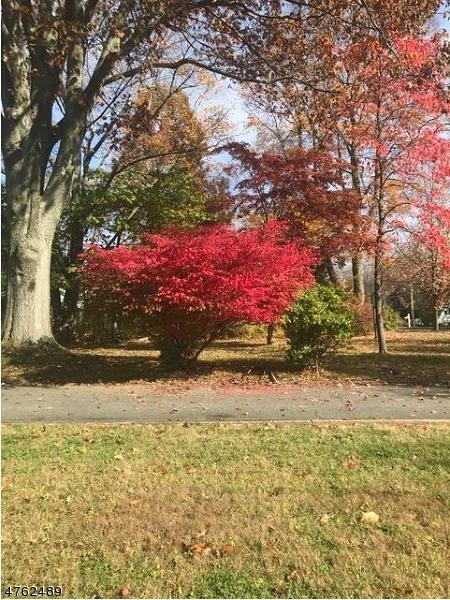 32 E Main St, Mendham, NJ 07945 photo 16