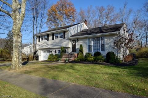 12 Swan Ter, Wayne, NJ 07470 photo 1