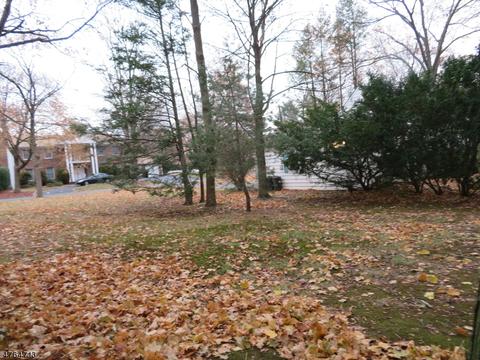 254 Washington Pl, Paramus, NJ 07652 photo 24