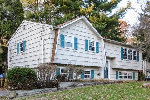 507 Hamilton Dr, Hackettstown, NJ 07840 photo 6