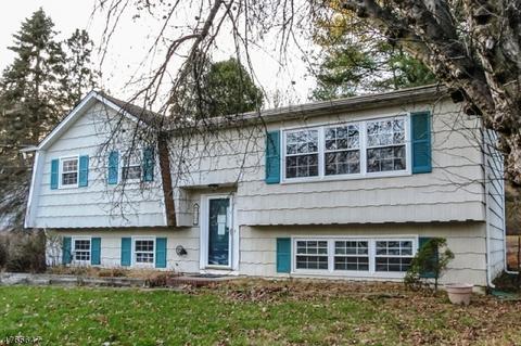 507 Hamilton Dr, Hackettstown, NJ 07840 photo 2