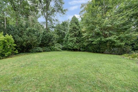 55 Rose Ave, Springfield, NJ 07081 photo 20