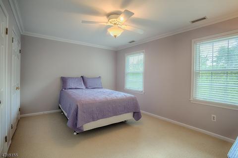 24 Devonshire Ln, Mendham, NJ 07945 photo 22