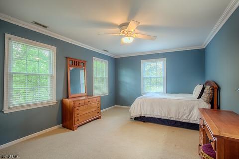 24 Devonshire Ln, Mendham, NJ 07945 photo 20