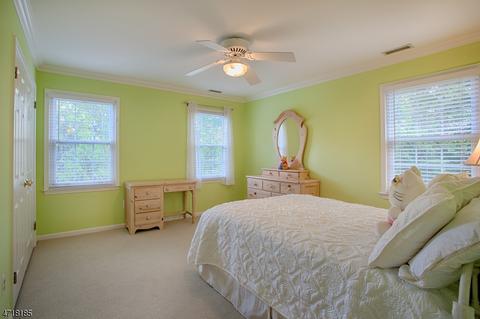 24 Devonshire Ln, Mendham, NJ 07945 photo 19