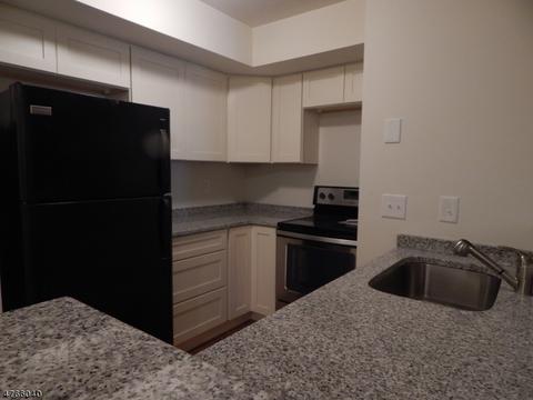 93 Sage Ct, Bedminster, NJ 07921 photo 1