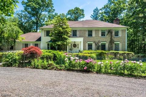 11 N Gate Rd, Mendham, NJ 07945 photo 1