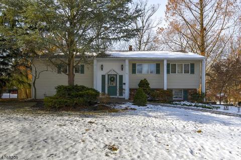 16 Vernon Ct, Wayne, NJ 07470 photo 1
