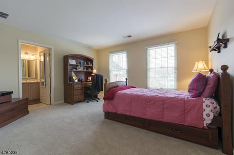 103 Eileen Dr, Cedar Grove, NJ 07009 photo 17
