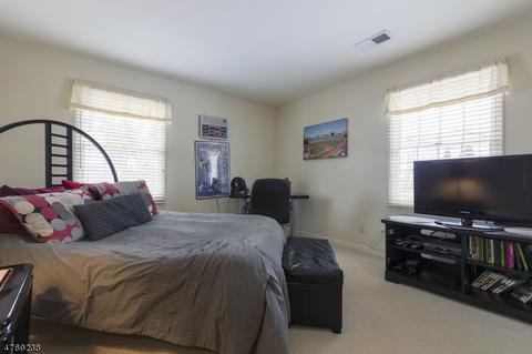 103 Eileen Dr, Cedar Grove, NJ 07009 photo 19
