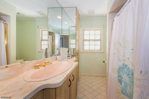 17 Springbrook Rd, Springfield, NJ 07081 photo 13
