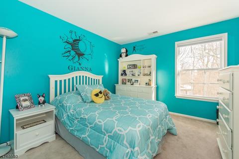 7 Windsor Ct, Hackettstown, NJ 07840 photo 17